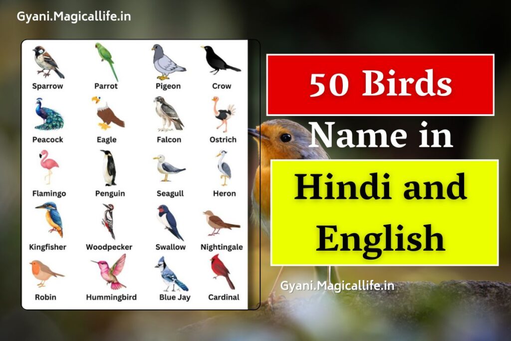 50 Birds Name in Hindi and English पक्षियों के नाम हिंदी और अंग्रेजी में